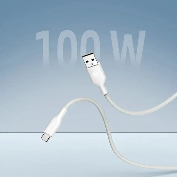 Ganbo Fast Charging Cable 100W A-C