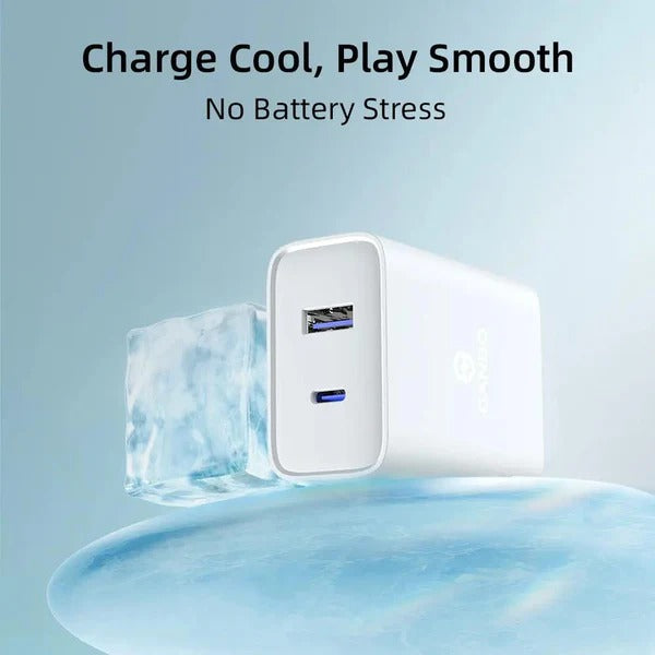 Ganbo 45W charger product detail
