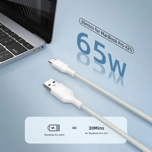 Ganbo Fast Charging Cable 100W A-C